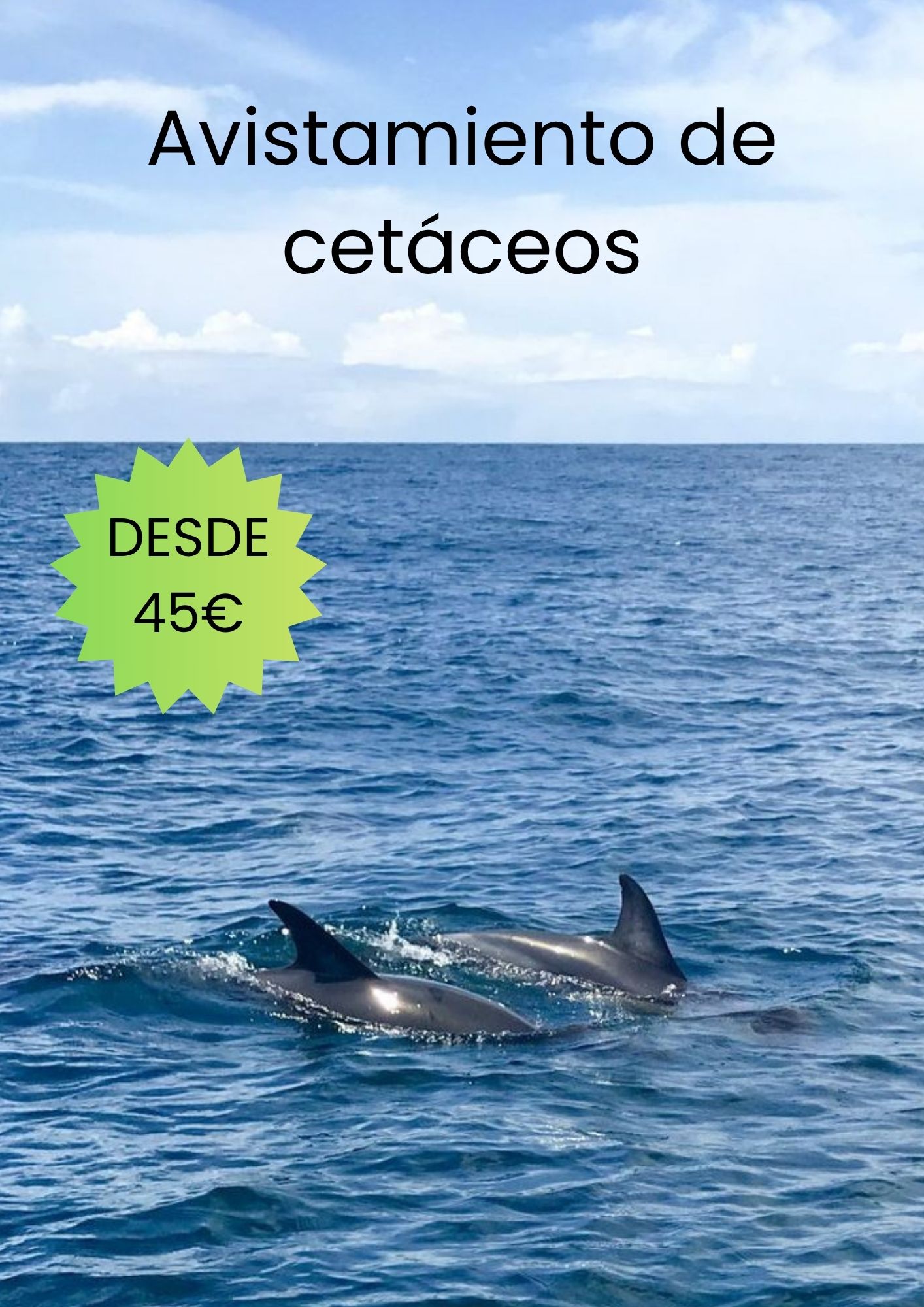 Avistamiento de Cetáceos
