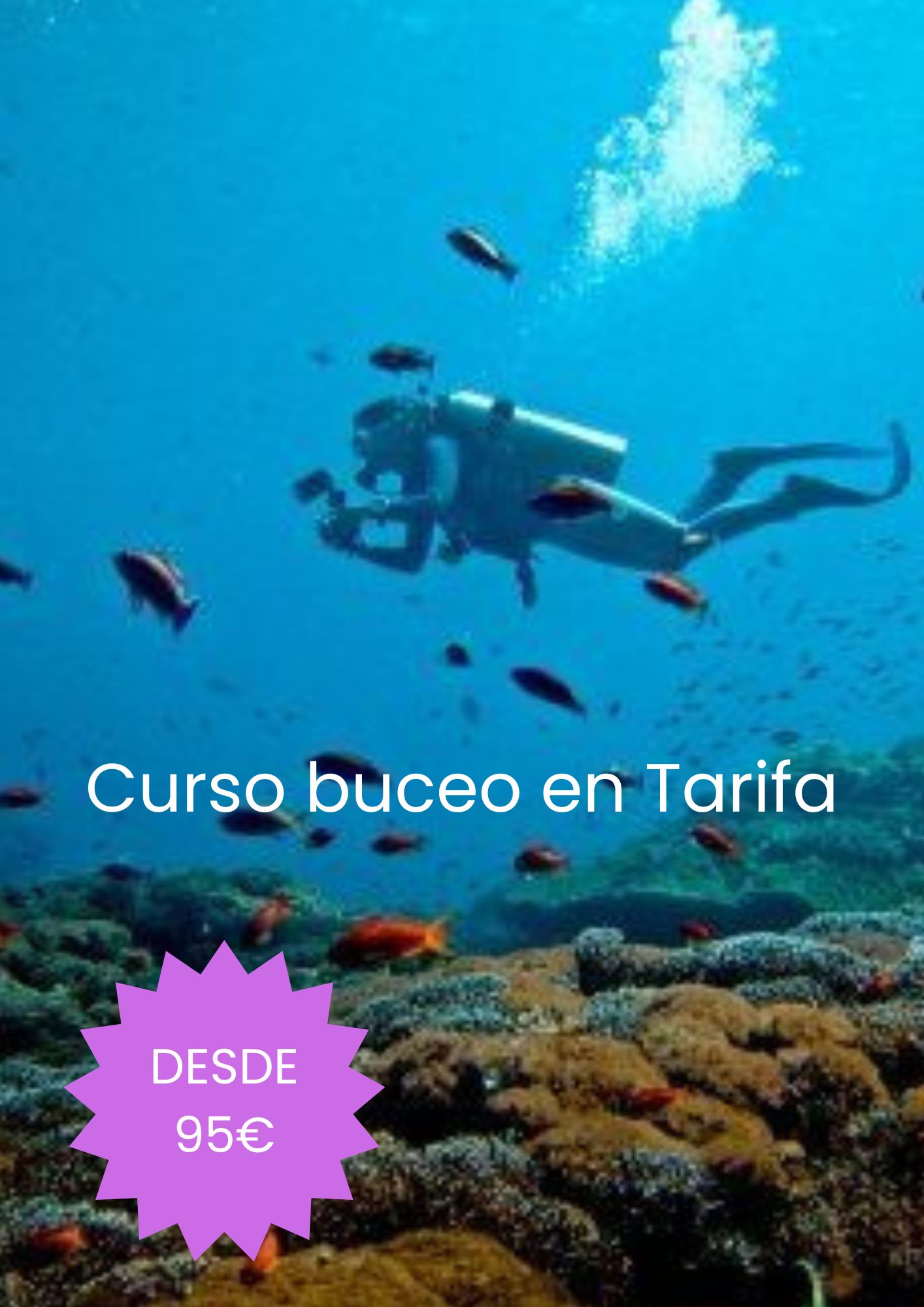 Curso buceo en Tarifa